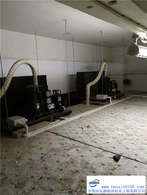 深圳拆裝冷庫完工交付，邊試機邊進貨